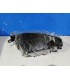 FARO DCH AUDI A6 04-08 BI XENON R012957C3