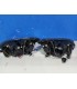 AZ FAROS FORD FOCUS 04-08 OJOS ANGEL FONDO NEGRO R145617C1