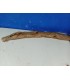 ALERON SPOILER AUDI A5 SPORTBACK 16- LOOK S LINE C011420C2