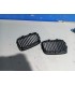 DW PARRILLA BMW E36 91-96 NEGRO BRILLO R148651C1