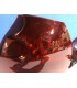QJ PILOTOS LED VOLKSWAGEN VW GOLF 5 03-08 CRISTAL AHUMADO FULL LED R147053C8