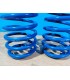 DW SUSPENSIÓN ROSCADA TRASERA BLUE LINE SKODA OCTAVIA 1U KOMBI R002899S1