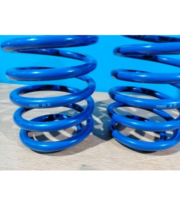 DW SUSPENSIÓN ROSCADA TRASERA BLUE LINE SKODA OCTAVIA 1U KOMBI R002899S1