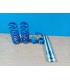 DW SUSPENSIÓN ROSCADA TRASERA BLUE LINE SKODA OCTAVIA 1U KOMBI R002899S1