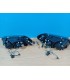ZA FAROS AUDI A3 8L 96-00 LUZ DIURNA FONDO NEGRO R146056C1