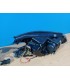 XC FAROS XENON BMW E60 E61 07-10 OJOS ANGEL NEGRO CLARO R026021C4