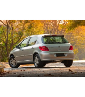 DW PARAGOLPES TRASERO PEUGEOT 307 01-05 C002066C13