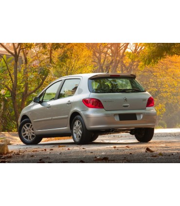 DW PARAGOLPES TRASERO PEUGEOT 307 01-05 C002066C13