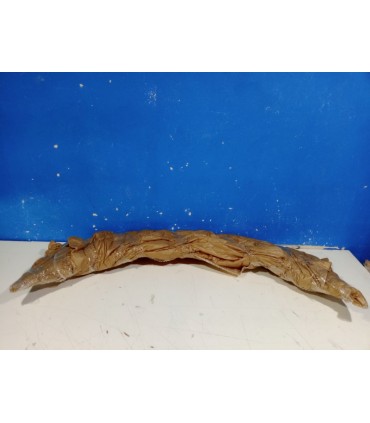 UF ALERÓN SPOILER FORD MONDEO MK4 07-14 R152053C1