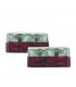 DW PILOTOS VOLKSWAGEN VW GOLF 1 78-93 ROJO CROMO R148068C2