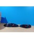 NM PILOTOS SEAT LEON 2 05-09 CARDNA FULL LED AHUMADOS R012734C10