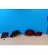 DW PILOTOS VOLKSWAGEN VW GOLF 6 LOOK R FULL LED DINAMICOS ROJO 08-13 R012819C12