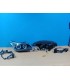 DW FAROS BMW E60 E61 03-07 LED OJOS ANGEL NEGROS R011333C3