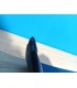 CX ALERON SPOILER VOLKSWAGEN VW T5 CARAVELLE 10-15 GFK R151484C1