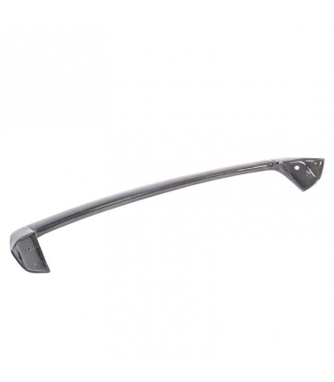 DW ALERÓN BMW F20 F21 11- CARBONO C010122C1