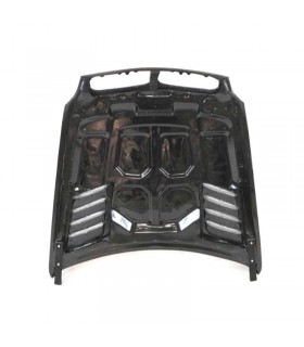 CX CAPO BMW E70 E71 06-14 CARBONO C011569C1