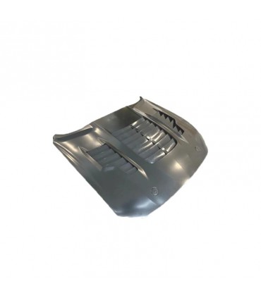 DW CAPO FORD MUSTANG 15-17 LOOK GT500 KR ALUMINIO C013044C1