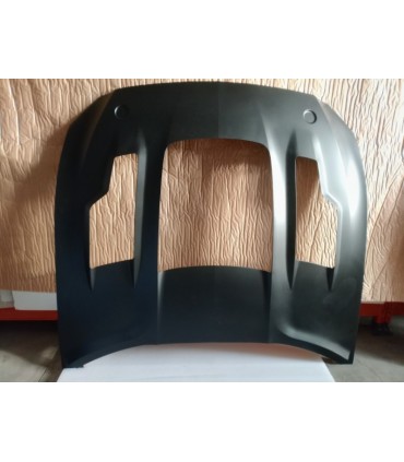 DW CAPO FORD MUSTANG 15-17 LOOK GT500 KR ALUMINIO C013044C1