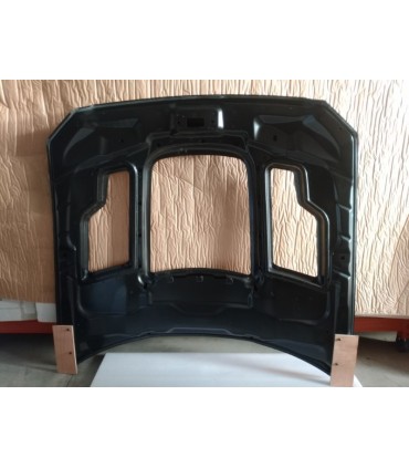 DW CAPO FORD MUSTANG 15-17 LOOK GT500 KR ALUMINIO C013044C1