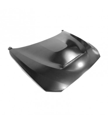 DW CAPO BMW F20 F21 F22 F23 F87 M2 LOOK GTS ALUMINIO C011595C1