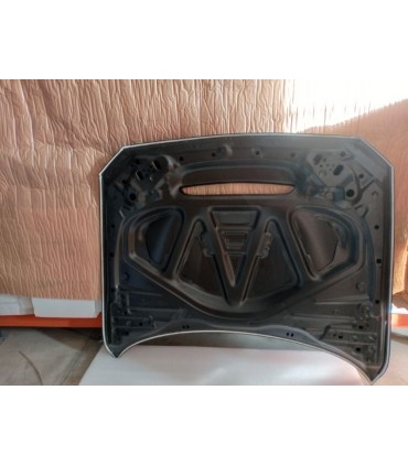 DW CAPO BMW F20 F21 F22 F23 F87 M2 LOOK GTS ALUMINIO C011595C1