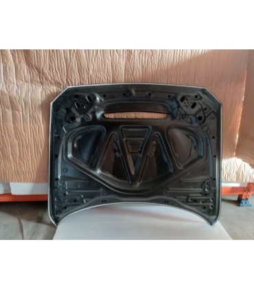 DW CAPO BMW F20 F21 F22 F23 F87 M2 LOOK GTS ALUMINIO C011595C2