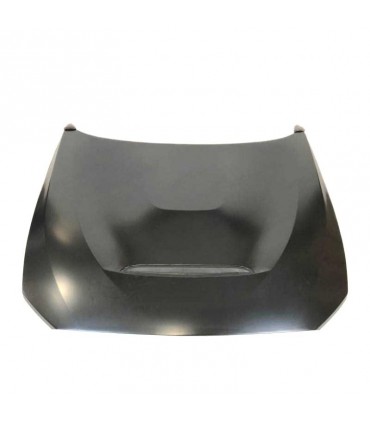 DW CAPO BMW F20 F21 F22 F23 F87 M2 LOOK GTS ALUMINIO C011595C3