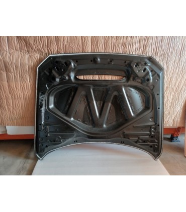 DW CAPO BMW F20 F21 F22 F23 F87 M2 LOOK GTS ALUMINIO C011595C3