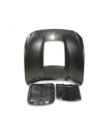 DW CAPO FORD MUSTANG 15-17 LOOK GT500 ALUMINIO C011944C1
