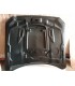 DW CAPO FORD MUSTANG 15-17 LOOK GT500 ALUMINIO C011944C1