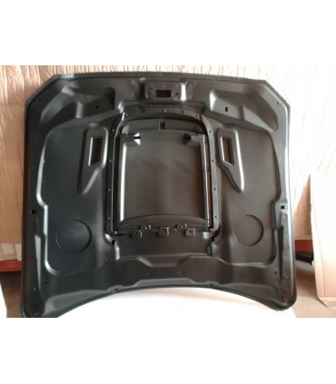 DW CAPO FORD MUSTANG 15-17 LOOK GT500 ALUMINIO C011944C1