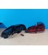 CX PILOTOS VOLKSWAGEN VW GOLF 6 08-12 LED ROJO CLARO R145843C1