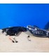 CX FAROS PEUGEOT 206 98-06 FONDO NEGRO H4 OEM R147507C1