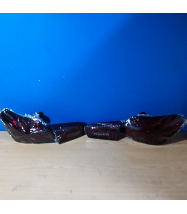 DW PILOTOS FORD FOCUS MK4 18-21 LED DINAMICO ROJO AHUMADO R012294C2