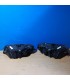 AZ FAROS BMW E81 E87 E82 E88 04-11 OJOS ANGEL FONDO NEGRO R020143C1