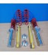 CX SUSPENSIÓN ROSCADA TA TECHNIX PARA CITROEN C2 2003 - 2010 R000293S1