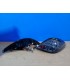 BY PILOTOS LED PEUGEOT 207 06-09 AHUMADOS R011142C3