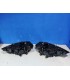FAROS AUDI A4 B8 12-15 DRL NEGROS R012406C1