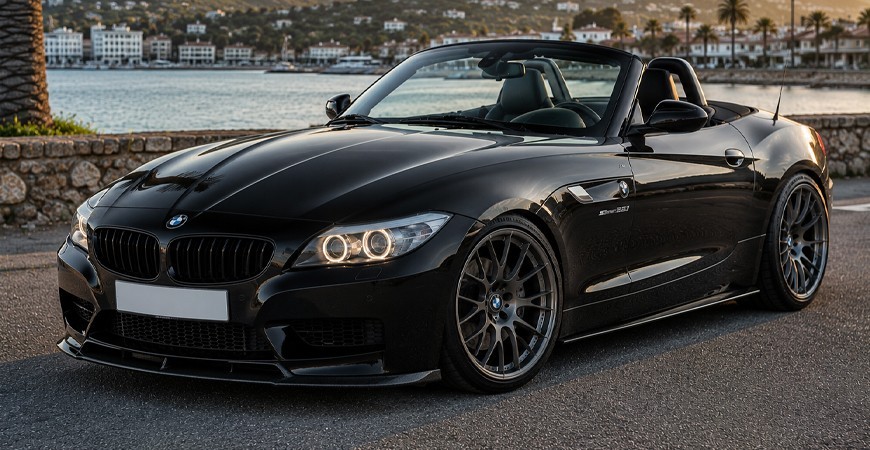 Z4 E89 (09- )